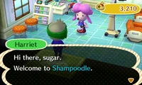 Harriet welcoming a player in her shop in New Leaf.