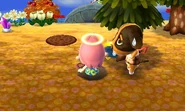 Avril regardant le joueur tombé dans un piège dans New Leaf
