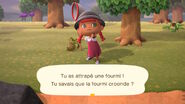 Capture de la fourmi dans New Horizons