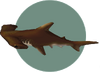 Hammerhead Shark (City Folk).png