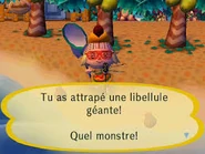Un joueur ayant attrapé une libellule géante dans Let's Go to the City