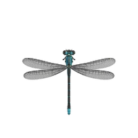 Demoiselle (New Horizons) (59 kio) Demoiselle (NH)