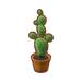 PC-FurnitureIcon-cactus
