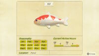 NH-encyclopedia-Koi.jpg