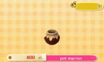 Pot marron
