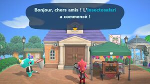 Annonce insectosafari-ACNH