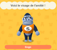 Gogo dans Animal Crossing: Pocket Camp - L'oracle de l'amitié