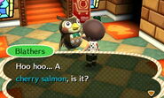 A player donating the cherry salmon to Blathers in New Leaf.