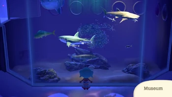 Une joueuse devant un aquarium du musée de New Horizons
