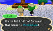 The player talking to Leif during the Weeding Day