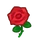 Rose(s) rouge(s)
