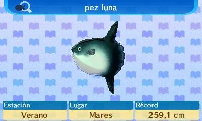 hechos del pez luna