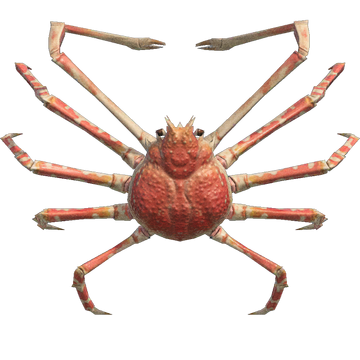 Spider Crab Animal Crossing Wiki Fandom
