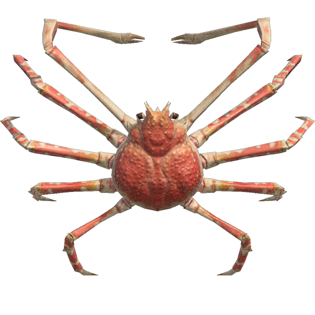 Spider Crab Animal Crossing Wiki Fandom