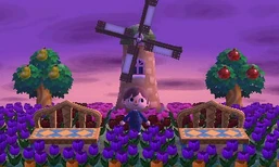 Molino y el amanecer violeta de fondo.