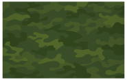 NH-Camo card
