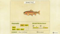 NH-encyclopedia-Golden trout