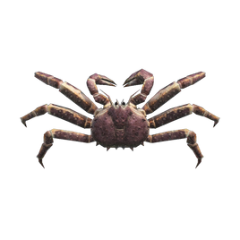 Red King Crab NH