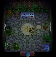 La casa di Betta dall'alto