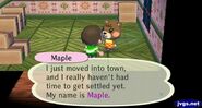 Maple preparing to move in