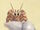 Hermit crab
