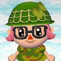 Accessories Animal Crossing Wiki Fandom