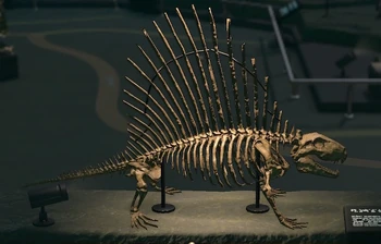 Dimetrodon