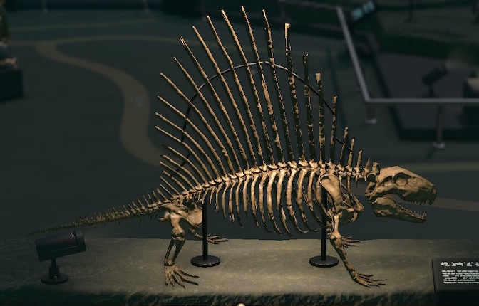 dimetrodon