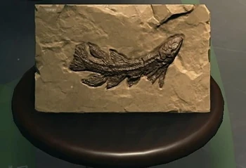 NH-Furniture-Eusthenopteron