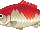 ACWW Sprite Koi-Karpfen.png