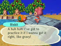 Biskit talking to a player in City Folk.