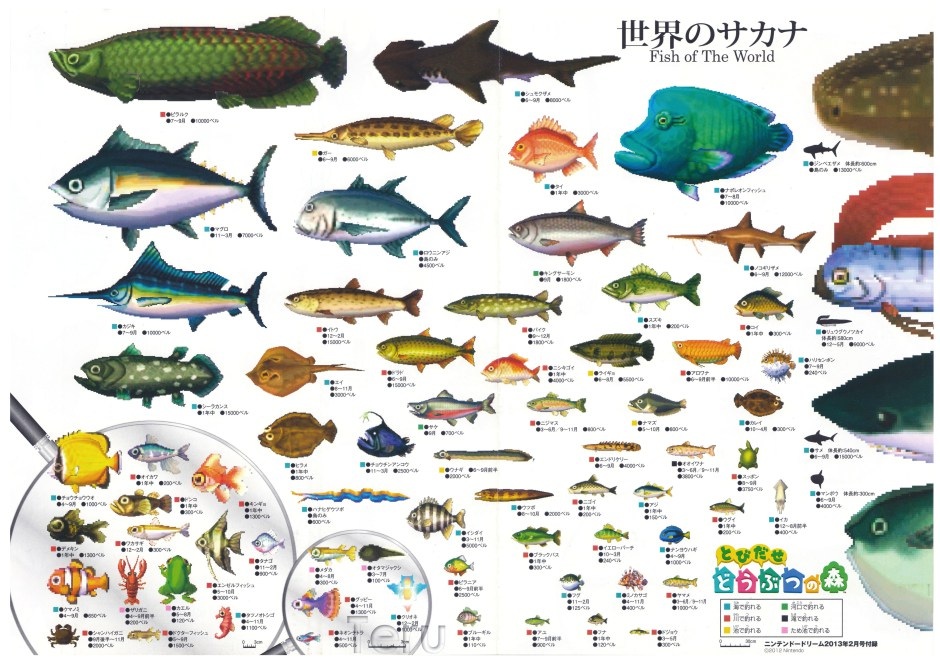 animal crossing new leaf fish guide