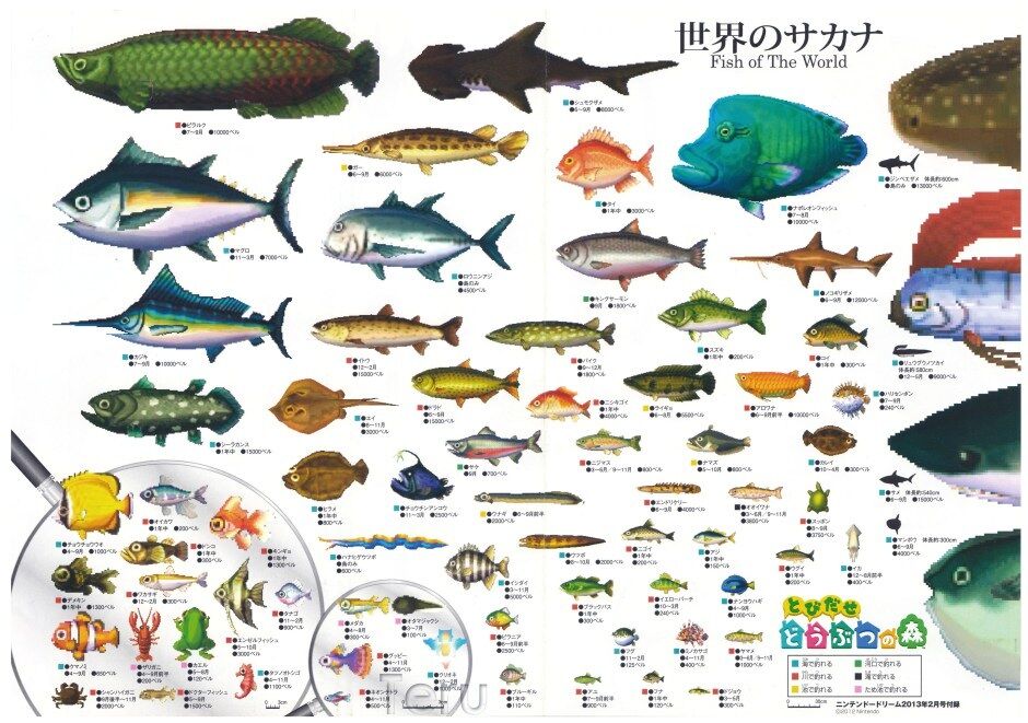 Animal Crossing New Leaf Fish