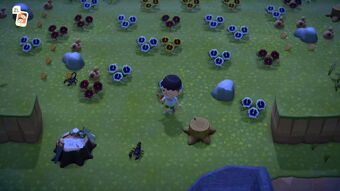 animal crossing fandom mystery tour