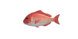 NH-Poisson-Vivaneau