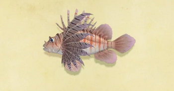 NH-Zebra-Turkeyfish