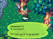 Cockroach in Animal Crossing.