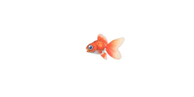 Goldfish, Animal Crossing Wiki