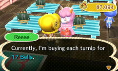 Animal Crossing turnip price calculator, Best turnips price each week