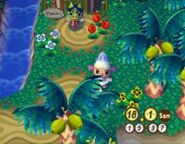 Neferti dans Animal Crossing