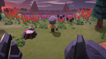 animal crossing fandom mystery tour