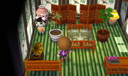 La maison de Pauline dans New Leaf