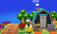 La maison d'Isaac vue de l'extérieur dans New Leaf