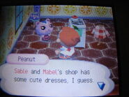 Peanut talking about the Able Sisters shop in Wild World.