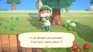 Capture d'une punaise dans New Horizons