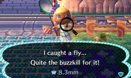 Fly in New Leaf