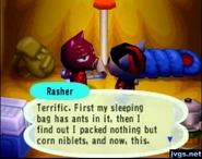 Ac-rashertent.jpg (33 kio) Salami au camping dans Animal Crossing