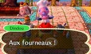 Dindou et joueur en train de préparer le repas