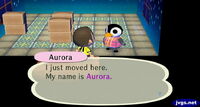 The player meeting Aurora for the first time in City Folk