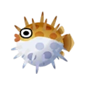 Poisson-porc-épic-ACPC.png (14 kio) Icône du poisson-porc-épic dans Pocket Camp